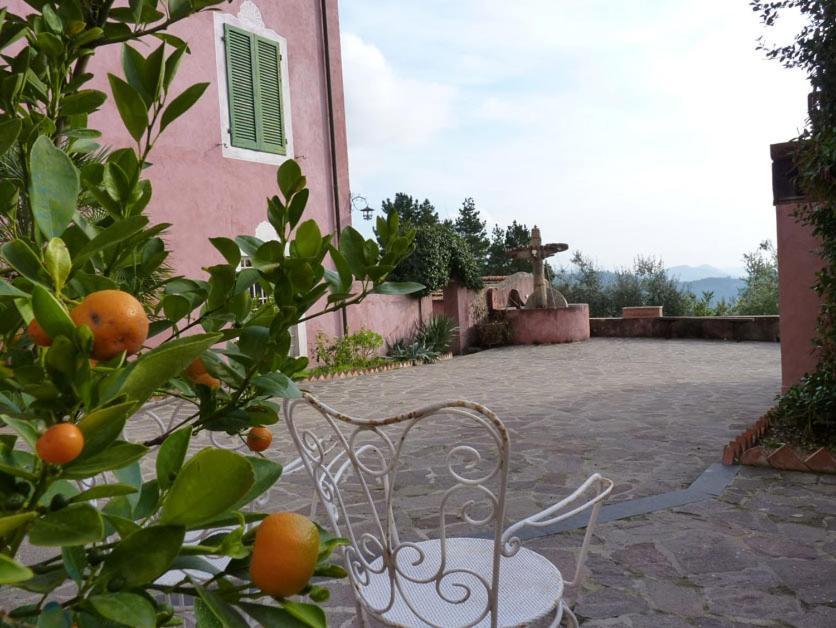 Le Donne Di Bargecchia Villa Corsanico-Bargecchia Eksteriør billede